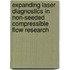 Expanding laser diagnostics in non-seeded compressible flow research