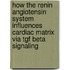 How the renin angiotensin system influences cardiac matrix via TGF beta signaling
