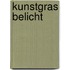 Kunstgras Belicht