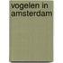Vogelen in Amsterdam