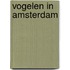 Vogelen in Amsterdam