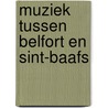 Muziek tussen Belfort en Sint-Baafs door J. Dewilde