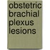 Obstetric Brachial Plexus Lesions