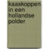Kaaskoppen in een hollandse polder