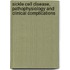 Sickle cell disease, pathophysiology and clinical complications