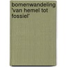 Bomenwandeling 'Van Hemel tot Fossiel' by T. van Jong