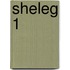 Sheleg 1