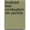 Fluidized bed combustion etc particle door Piet Prins