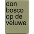 Don bosco op de veluwe