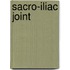 Sacro-iliac joint