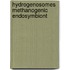 Hydrogenosomes methanogenic endosymbiont