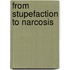 From stupefaction to narcosis
