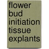 Flower bud initiation tissue explants by Carel Peeters