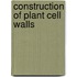 Construction of plant cell walls