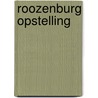 Roozenburg opstelling by Haytink