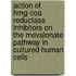Action of HMG-CoA reductase inhibitors on the mevalonate pathway in cultured human cells