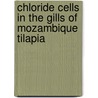 Chloride cells in the gills of Mozambique Tilapia by Jeanette Li