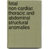 Fetal non-cardiac thoracic and abdominal structural anomalies
