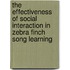 The effectiveness of social interaction in zebra finch song learning
