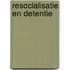Resocialisatie en detentie