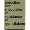 Induction and modulation of resistance to gemcitabine door A.M. Bergman