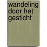 Wandeling door het gesticht door T. van Els