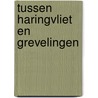 Tussen Haringvliet en Grevelingen by Unknown