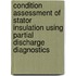 Condition assessment of stator insulation using partial discharge diagnostics