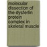 Molecular dissection of the dysferlin protein complex in skeletal muscle