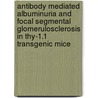 Antibody mediated albuminuria and focal segmental glomerulosclerosis in Thy-1.1 transgenic mice door B. Smeets