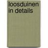 Loosduinen in details by J.H. Waanders