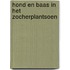 Hond en Baas in het Zocherplantsoen