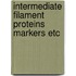Intermediate filament proteins markers etc