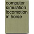 Computer simulation locomotion in horse
