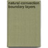 Natural-convection boundary layers
