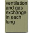 Ventilation and gas exchange in each lung