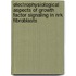 Electrophysiological aspects of growth factor signaling in NRK fibroblasts