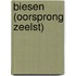 Biesen (oorsprong Zeelst)