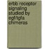 ErbB receptor signaling studied by EGF/TGFa Chimeras