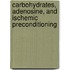 Carbohydrates, Adenosine, and Ischemic Preconditioning