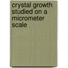 Crystal growth studied on a micrometer scale by M. Plomp