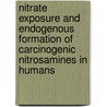 Nitrate exposure and endogenous formation of carcinogenic nitrosamines in humans by I.T.M. Vermeer