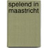 Spelend in Maastricht