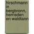 Hirschmann in Bergbronn, Herrieden en Waldtann