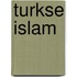Turkse islam