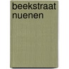 Beekstraat Nuenen door L. Bressers
