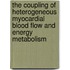 The coupling of heterogeneous myocardial blood flow and energy metabolism