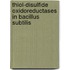 Thiol-disulfide oxidoreductases in Bacillus subtilis