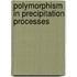 Polymorphism in Precipitation Processes