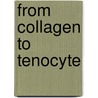 From collagen to tenocyte by Y. Lin